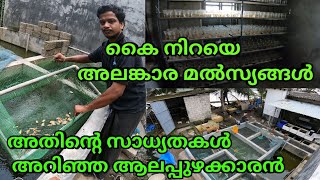 Kerala ornamental Fish Farming Success StoryLimited Space Maximum Out put [upl. by Sutphin]