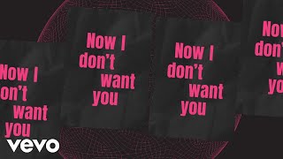 Riton RAYE  I Dont Want You Lyric Video [upl. by Eislel]