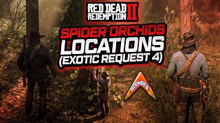 Spider Orchids Locations  Red Dead Redemption 2 [upl. by Dusty]