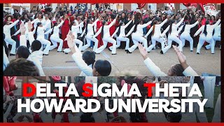 Alpha Chapter  Delta Sigma Theta  Howard University  Spring 2024 Probate [upl. by Assillam]