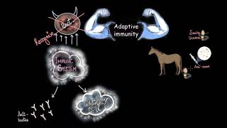 Active amp Passive immunity  Human health amp diseases  Subject  Khan Academy [upl. by Naresh]