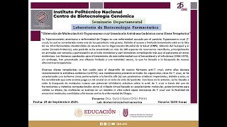 20240923 Seminario Departamental [upl. by Rosmarin]