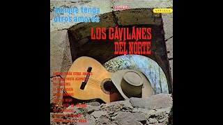 Los Gavilanes Del Norte  Pobre Bohemio  Antilla 014 [upl. by Aeduj984]