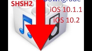 SHSH2 Downgrade iOS 1011 to 102 New method  Saving SHSH2 fast and easy [upl. by Shantha222]