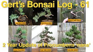 Bonsai Log  61  2 Year Update of Procumbens Nana Juniper [upl. by Augusta889]