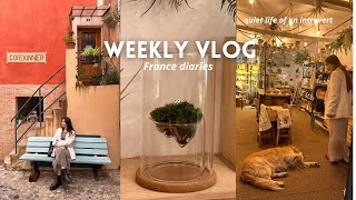 a week in my life in France ☕ ｜chill vlog cleaning haul coffeeshop food [upl. by Enahpets]