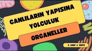 CANLILARIN YAPISINA YOLCULUK ORGANELLER 5SINIF FEN BÄ°LÄ°MLERÄ° YENÄ° MÃœFREDAT [upl. by Oilut]