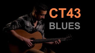 CT43  Alip Ba Ta cover by Łukasz Trochim [upl. by Evoy723]