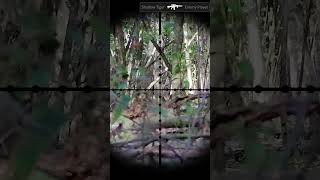 Airsoft Gameplay  Hits 44 airsoft gameplay fun sports combat [upl. by Tristam]