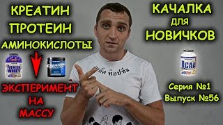 Креатин  Протеин  Аминокислоты Эксперимент для набора массы Качалка для начинающих [upl. by Cirenoj]