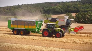 Claas Trion 730 im Weizen [upl. by Neelrahc]