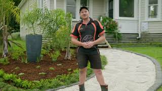 How to Create a Classic Low Maintenance Garden  Mitre 10 Easy As Garden [upl. by Anirroc517]