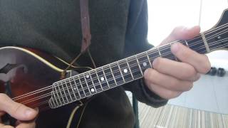 Learn Every Major and Minor Chord  Mandolin Lesson [upl. by Gnagflow568]