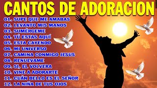 PODEROSAS CANCIONES CRISTIANAS PARA LIBERAR TU MENTE Y EL CORAZÓN 🕊️🕊️ SUPE QUE ME AMABAS 🙏🙏 [upl. by Nahtnahoj414]