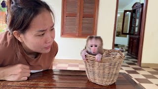 World Tiniest Baby In Basket CRY Hungry Please Mom [upl. by Kyte]