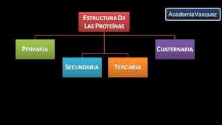 Estructura y Organización de las Proteínas [upl. by Wrench]