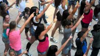 Icon Dance Flash Mob Freehold Raceway Mall 2010 Zoomed [upl. by Abad]