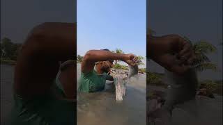 Catching Big Catla Fish By Polo shorts [upl. by Attenauqa]