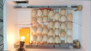 HOW TO MAKE INCUBATOR AT HOME 30 PIECE CHICKEN EGG HATCHING CAPACITY INCUBATOR [upl. by Alliuqaj]