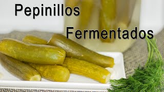 PEPINILLOS FERMENTADOS  Cómo Fermentar Fácilmente en casa  Beneficios de los probióticos [upl. by Neltiac]