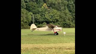 Taylorcraft BC12D coming in for a short landing  Byrd’s Backcountry Flight Festival aviationdaily [upl. by Landry]