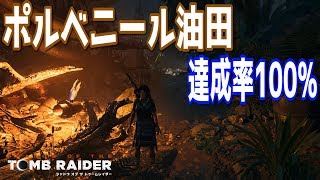 【シャドウ オブ ザ トゥームレイダー】ポルベニール油田の収集品入手場所 達成率100攻略動画 [upl. by Esilram]