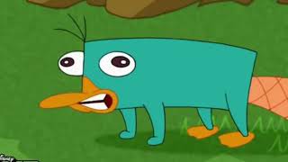 almost 8 minutes of perry the platypus sound straight [upl. by Maccarthy995]