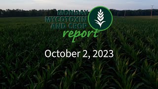 Monday Mycotoxin and Crop Report for October 2 2023 [upl. by Raila845]