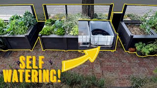 Stylish self watering raised garden beds How to build [upl. by Crissy]