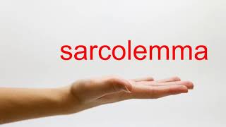 How to Pronounce sarcolemma  American English [upl. by Nagy660]