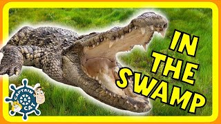 Alligator Song for Kids  In the Swamp [upl. by Tiloine]