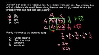 Genetic probability of albinism [upl. by Baalman881]