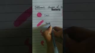 Different shapes of bacteria [upl. by Georgeanna]