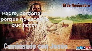 Caminando con Jesús 19 de noviembre quotPadre perdónalos porque no saben lo que hacenquot [upl. by Airekahs]