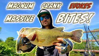 Is the Deps Evoke 40 the BEST MAGNUM CRANK out there Watch and FIND OUT [upl. by Slifka892]