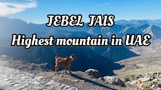 Jabel Jais Mountain Ras Al khaimah Highest Mountain in UAEroad trip [upl. by Aleacim620]