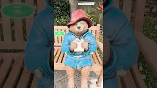 I found Paddington fyp foryoupage paddingtonbear paddingtonbear3 [upl. by Annoda164]