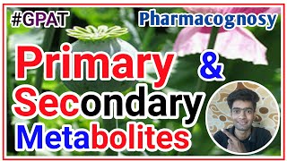 Primary and secondary metabolites pharmacognosy lecture  vikasmedicallecture [upl. by Aiuqenehs831]