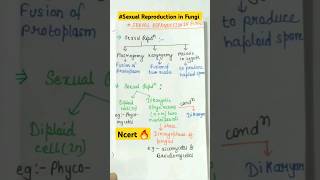 Sexual reproduction in Fungi biology Biological classification ncert neet shorts [upl. by Lester964]