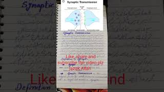 what is synaptic transmission UrduHindi neurosciences psychologyinurdu shorts ytshorts [upl. by Kcarb]