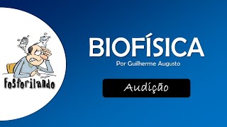 AUDIÇÃO Som  BIOFÍSICA [upl. by Denney788]