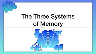 The Three Systems of Memory [upl. by Denie]