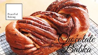 Chocolate Babka Without Stand MixerASMR [upl. by Archibold]