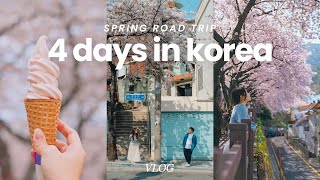 4day korea spring road trip itinerary  cherry blossom around busan gyeongju jinhae namhae [upl. by Ieso712]