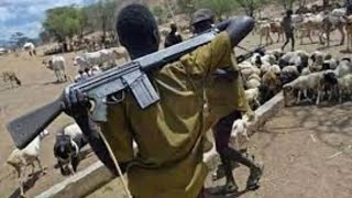 Watch the video Suspected herdsmen kill 13 Benue residents while heading for church [upl. by Aserahs235]