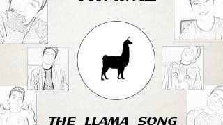 Twaimz  The Llama Song Full Version [upl. by Darell]