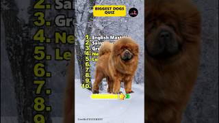 The Biggest Dogs in the World quiz dog guess [upl. by Ola]