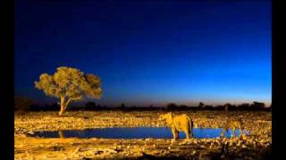 Luca Bacchetti  Night over kwazulu [upl. by Martel]