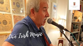 Castle Hotel Dublin  Live Irish Music [upl. by Antonietta]