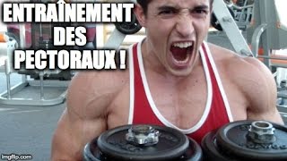 Comment avoir des pecs ENORMES pour lhiver  Entrainement des Pectoraux [upl. by Julis]